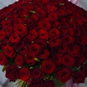 Букет 201 красная роза Гран При, 60 см